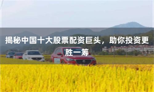 揭秘中国十大股票配资巨头，助你投资更胜一筹