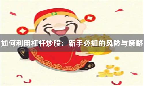 如何利用杠杆炒股：新手必知的风险与策略